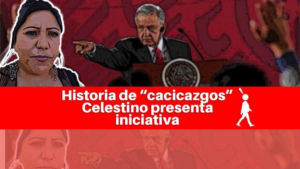 Araceli Celestino sus acusaciones por "cacizcagos" y su propuesta en la Cámara de Diputados