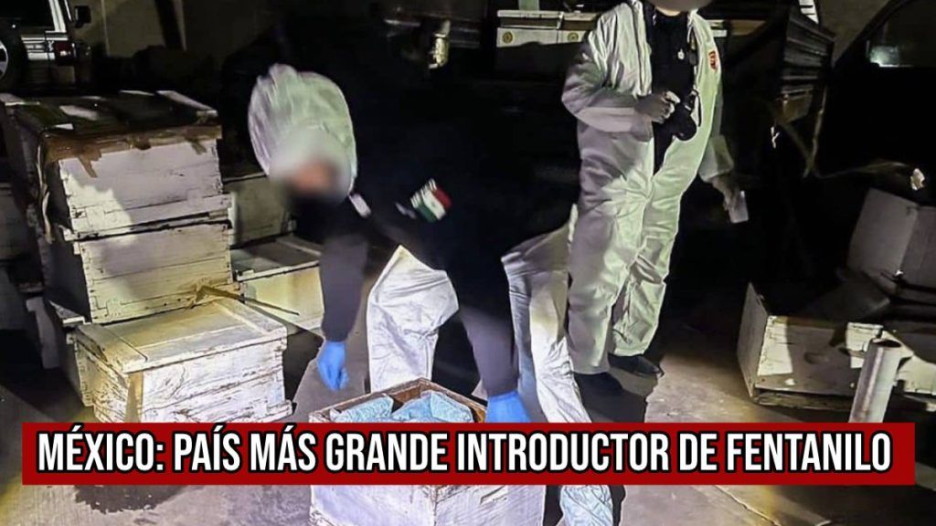 Imagen: Decomiso de un millón 210 mil pastillas de fentanilo en Sinaloa, febrero 2024