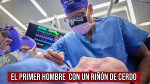 El primer hombre trasplantado con un riñón de cerdo modificado genéticamente.